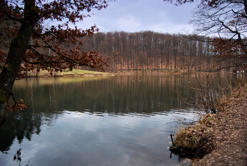 Itzenplitzer Weiher