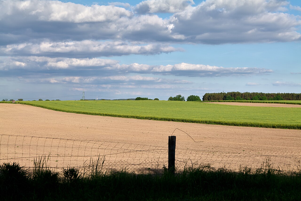 Brandenburger Osthavelniederung