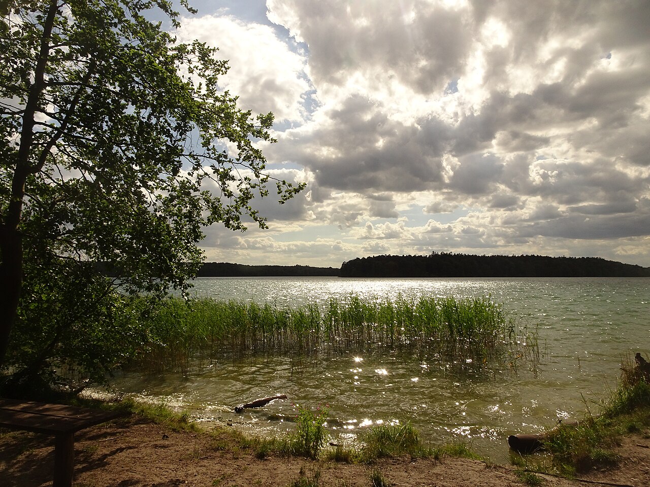 Großer Stechlinsee