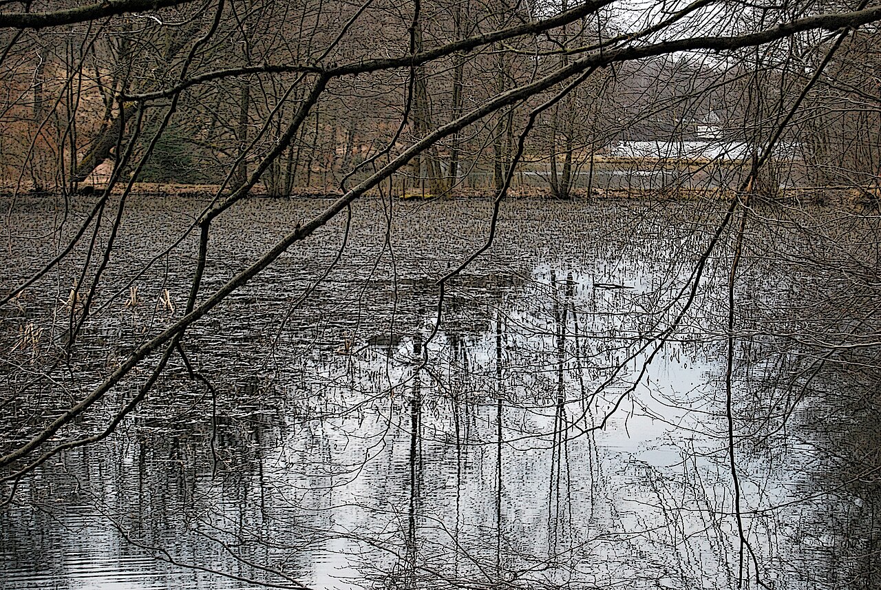 Itzenplitzer Weiher
