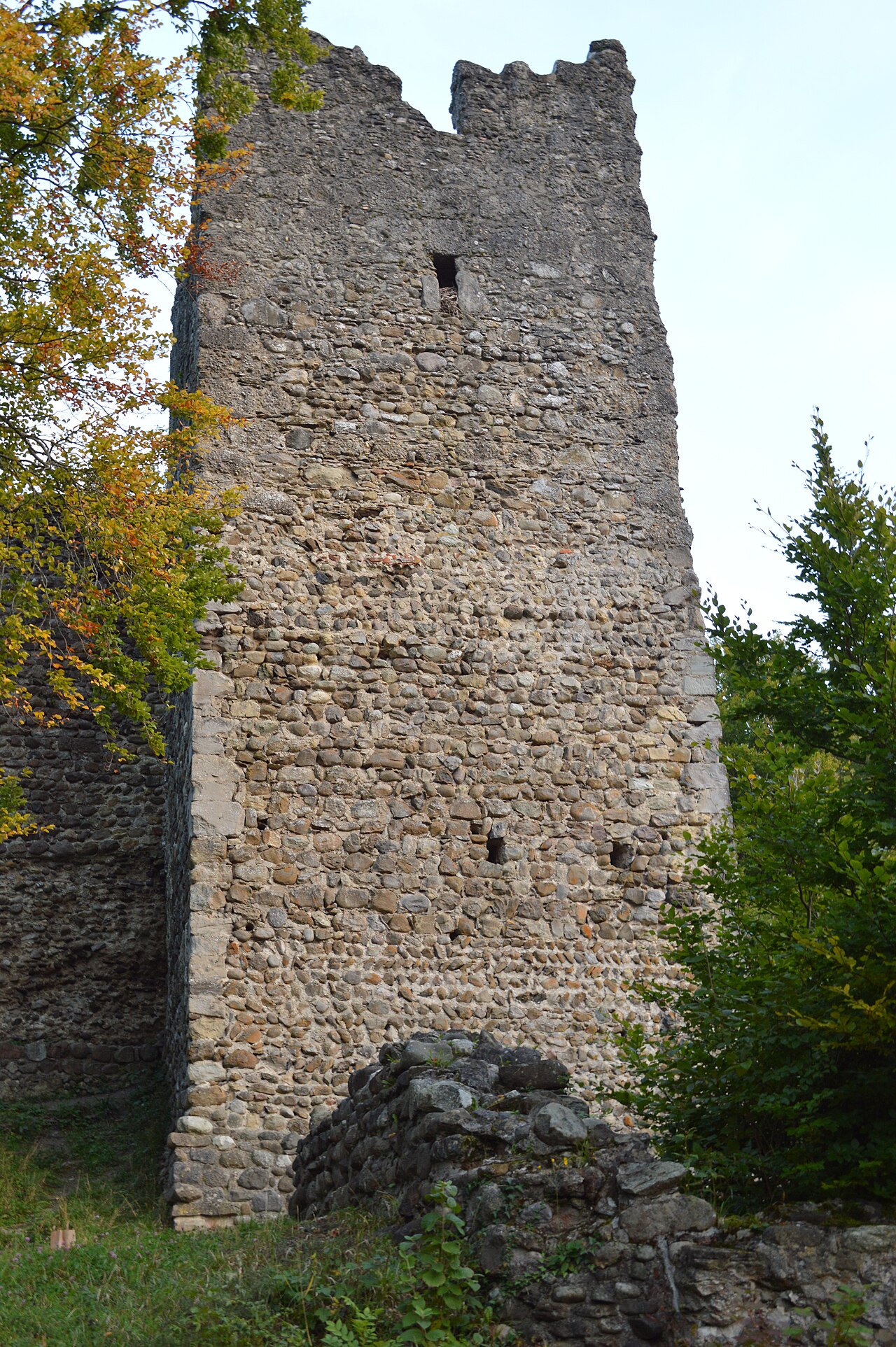 Ruine Alt Ramschwag