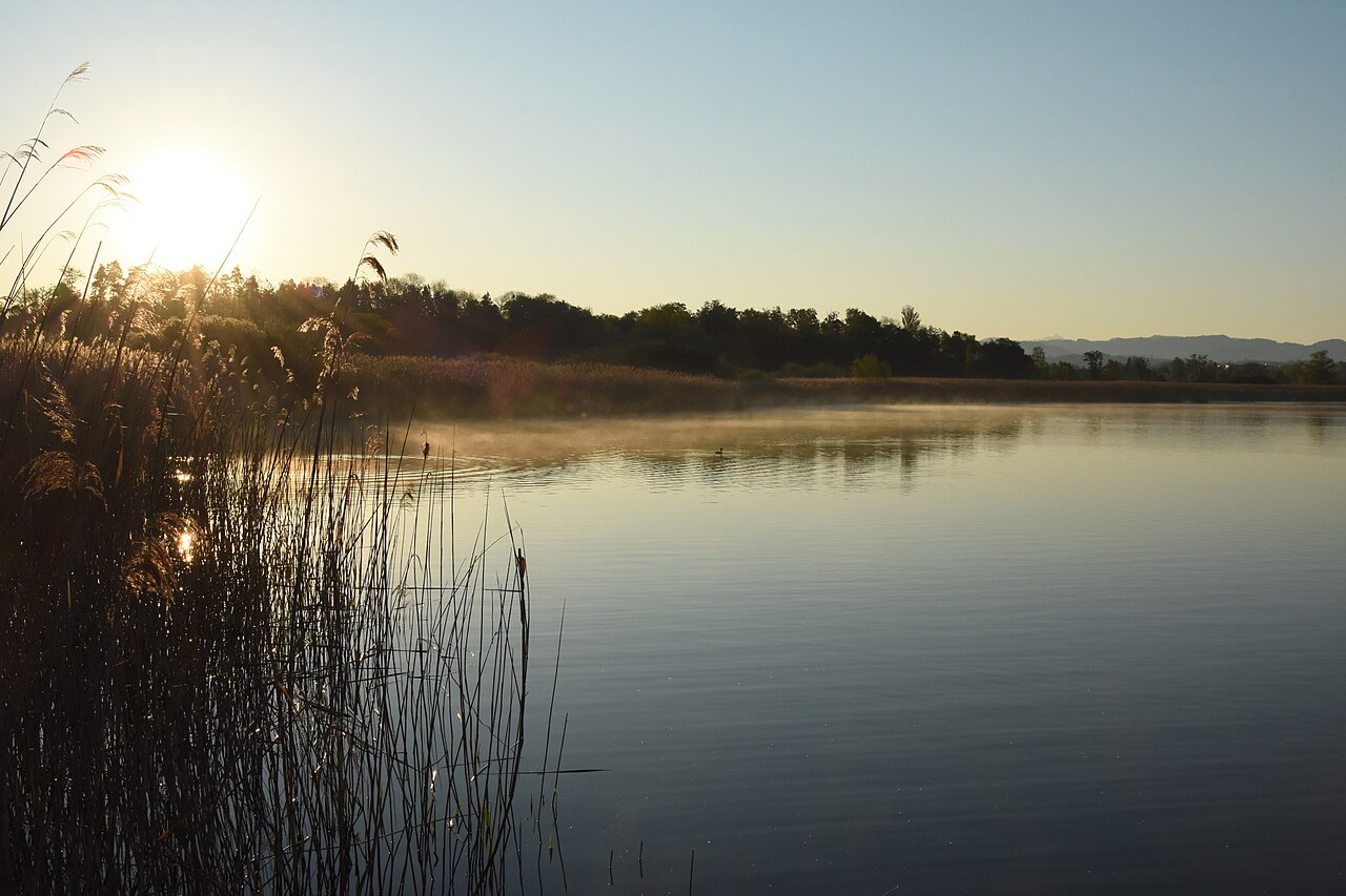 Greifensee