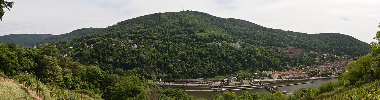 Königstuhl