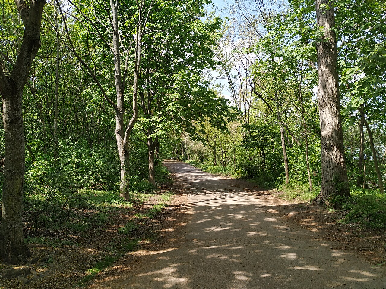 Volkspark Prenzlauer Berg