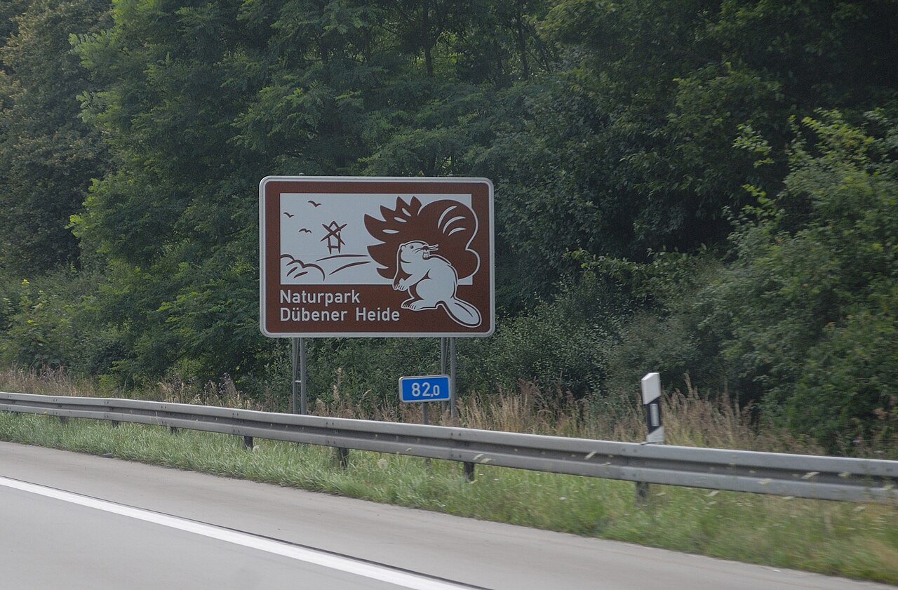 Naturpark Dübener Heide