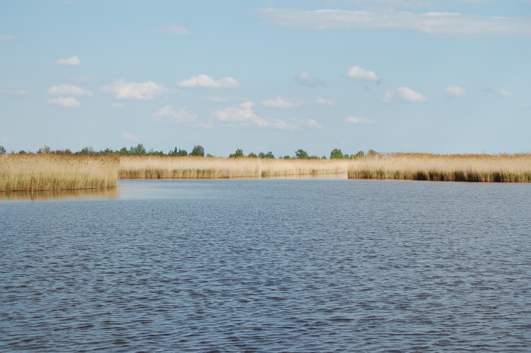 Neusiedler See