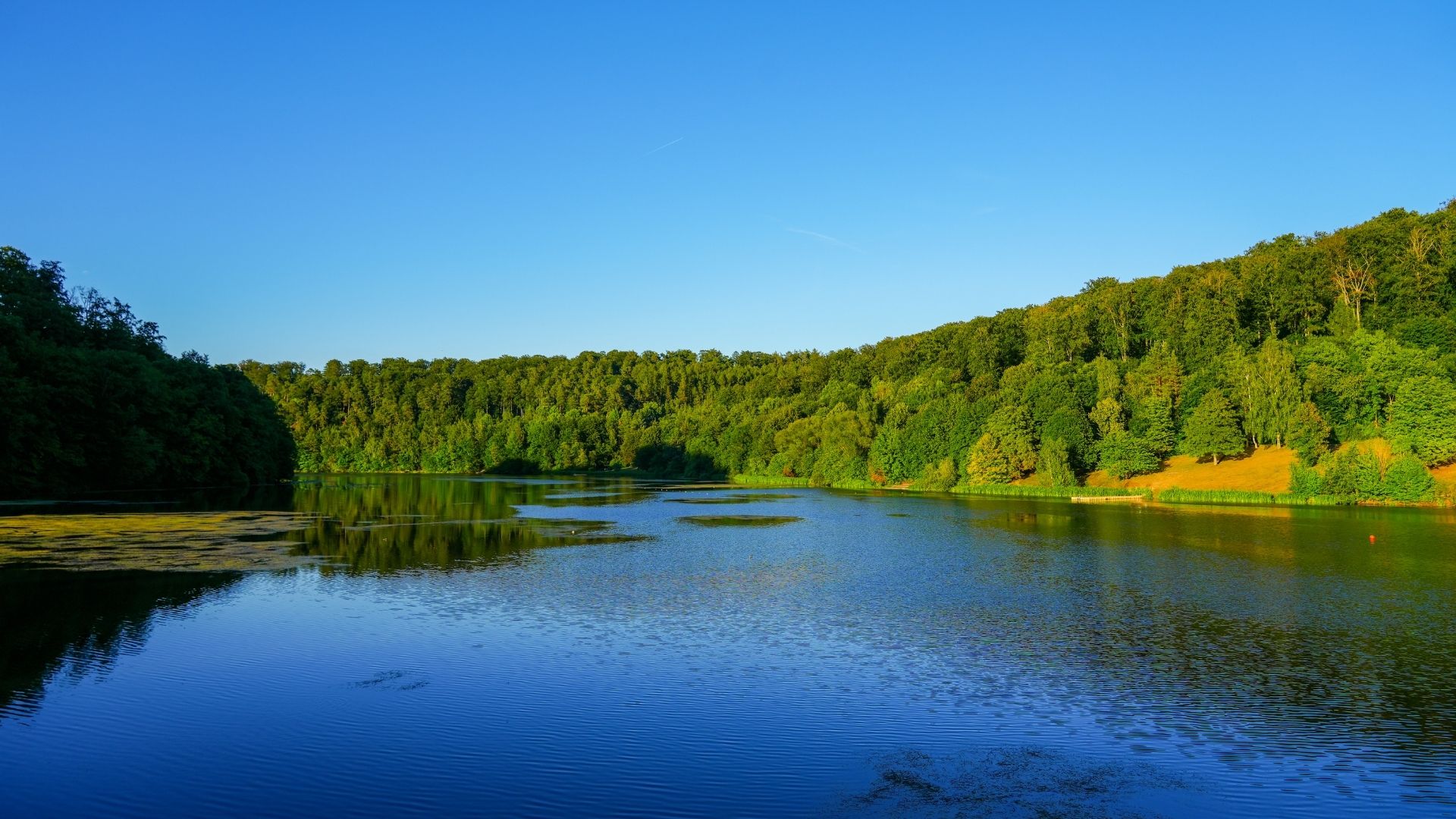 Twistesee