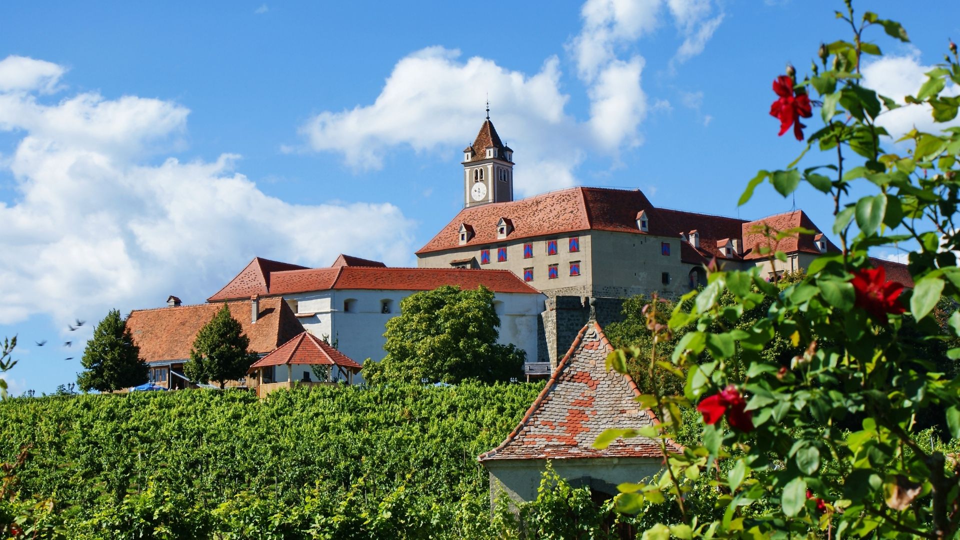 Burg Riegersburg