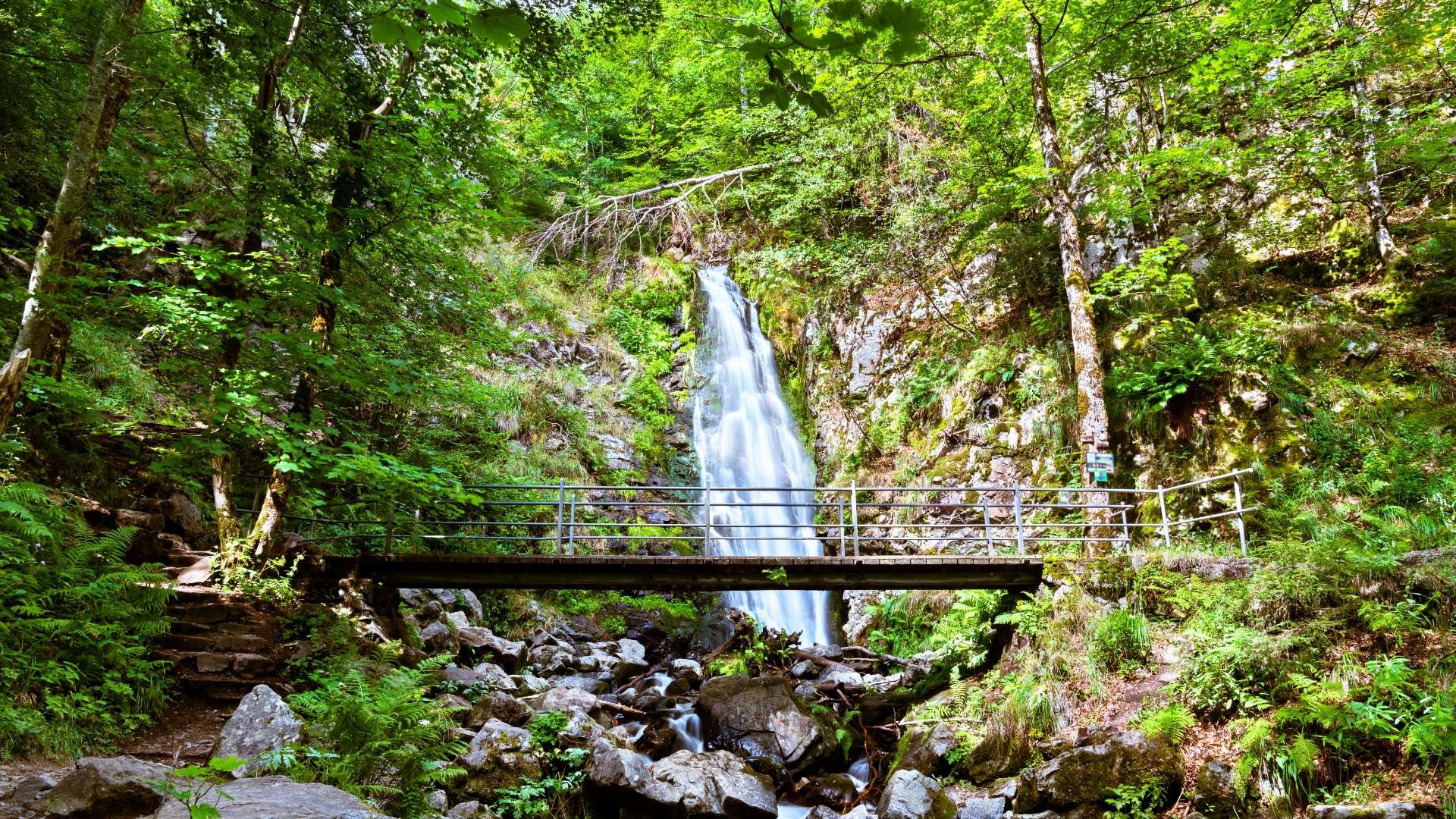 Todtnauer Wasserfälle