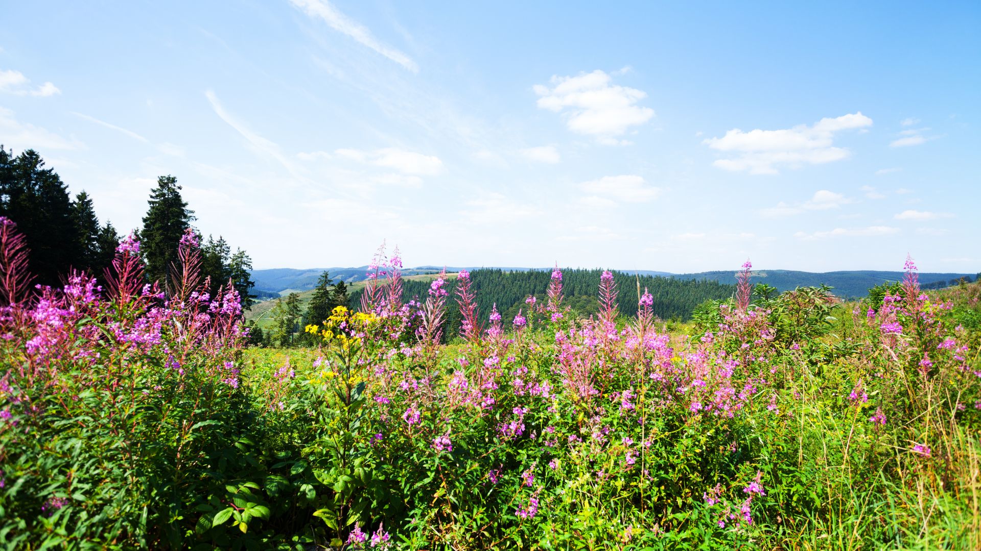 Naturpark Sauerland-Rothaargebirge