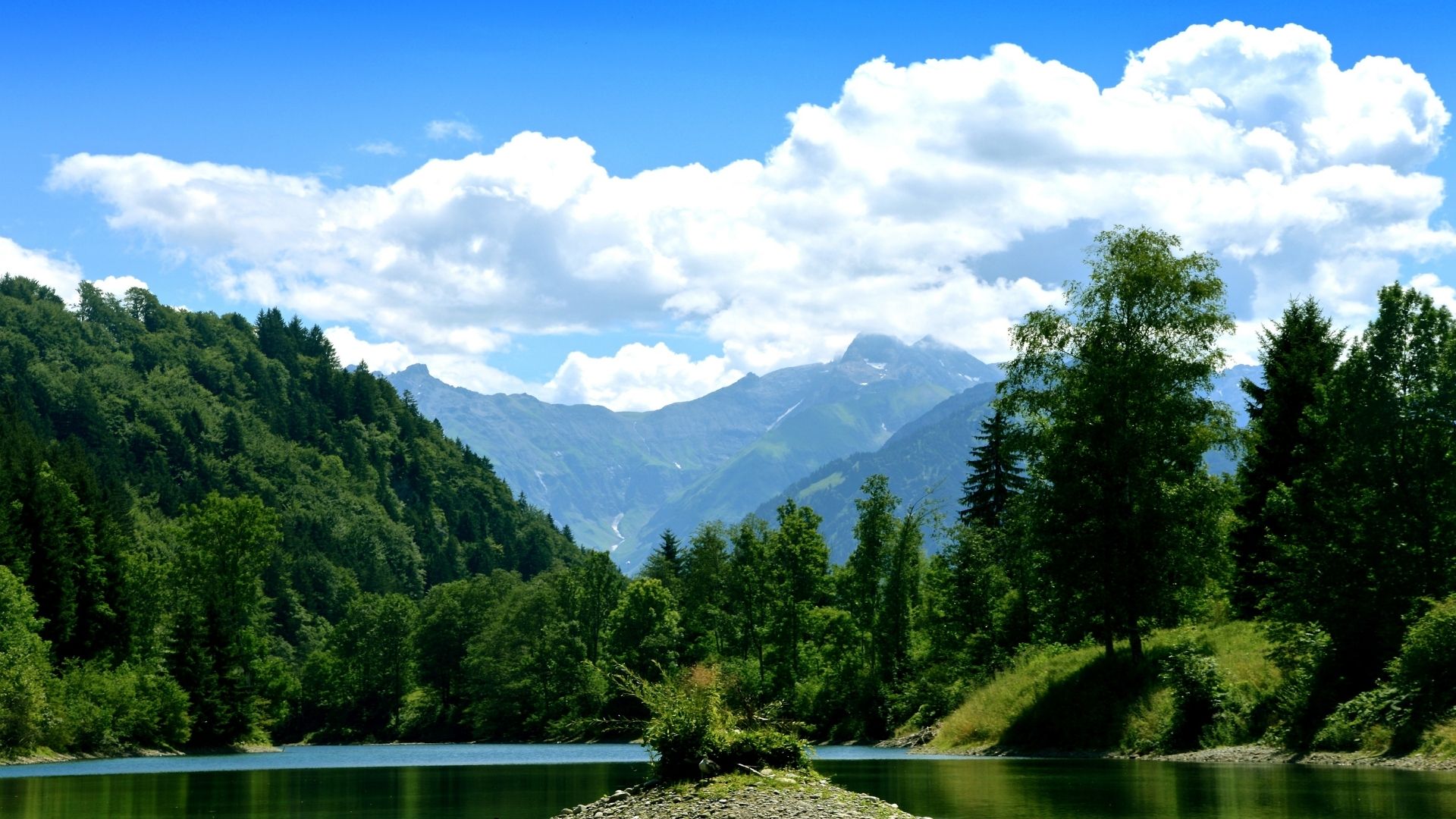 Waldsee