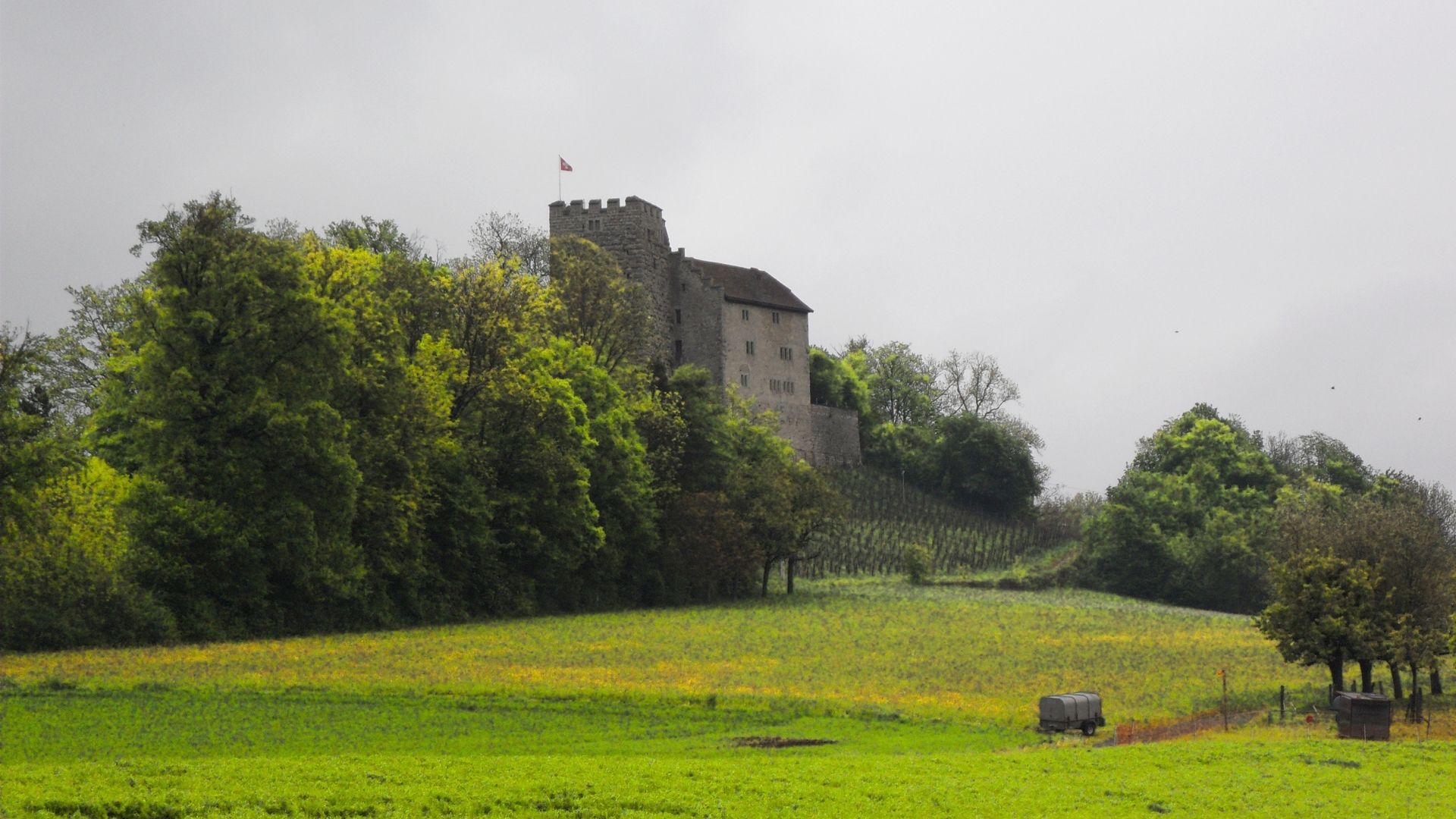 Schloss Habsburg - Museum Aargau