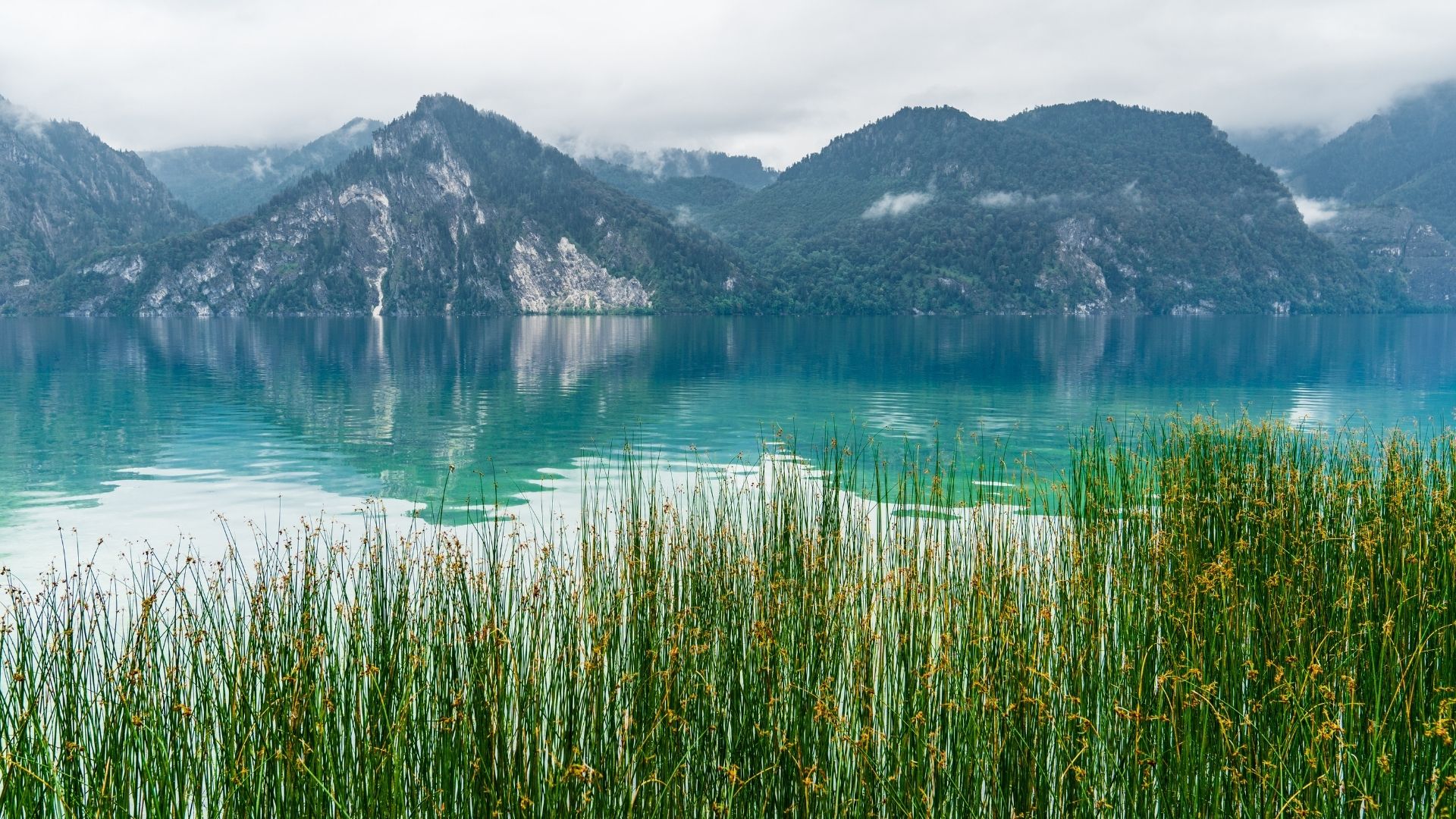 Traunsee