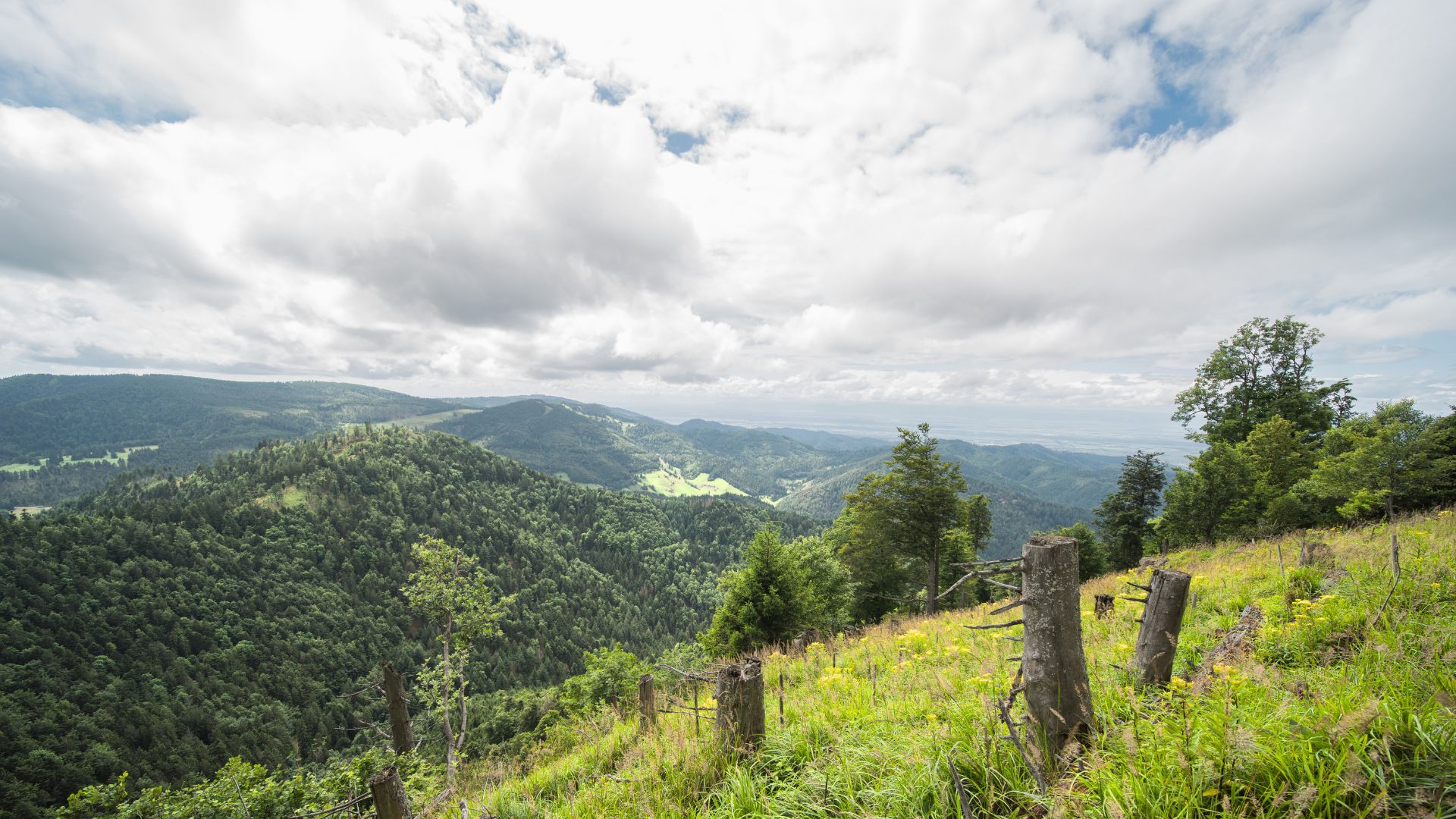 Belchen