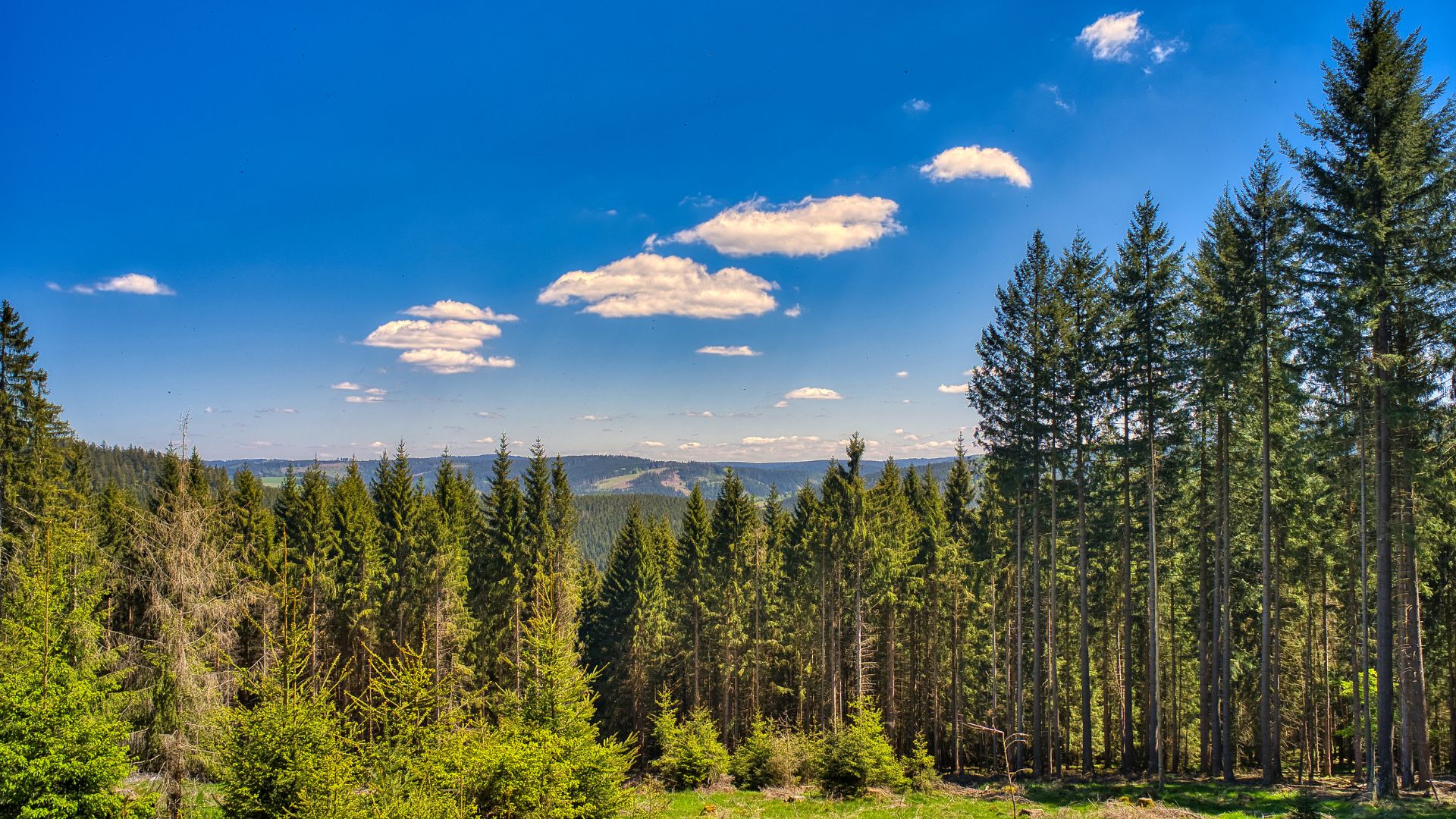 Großer Inselsberg