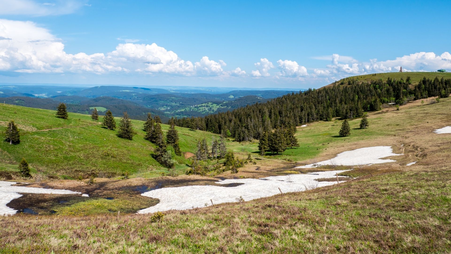 Feldberg (Schwarzwald)