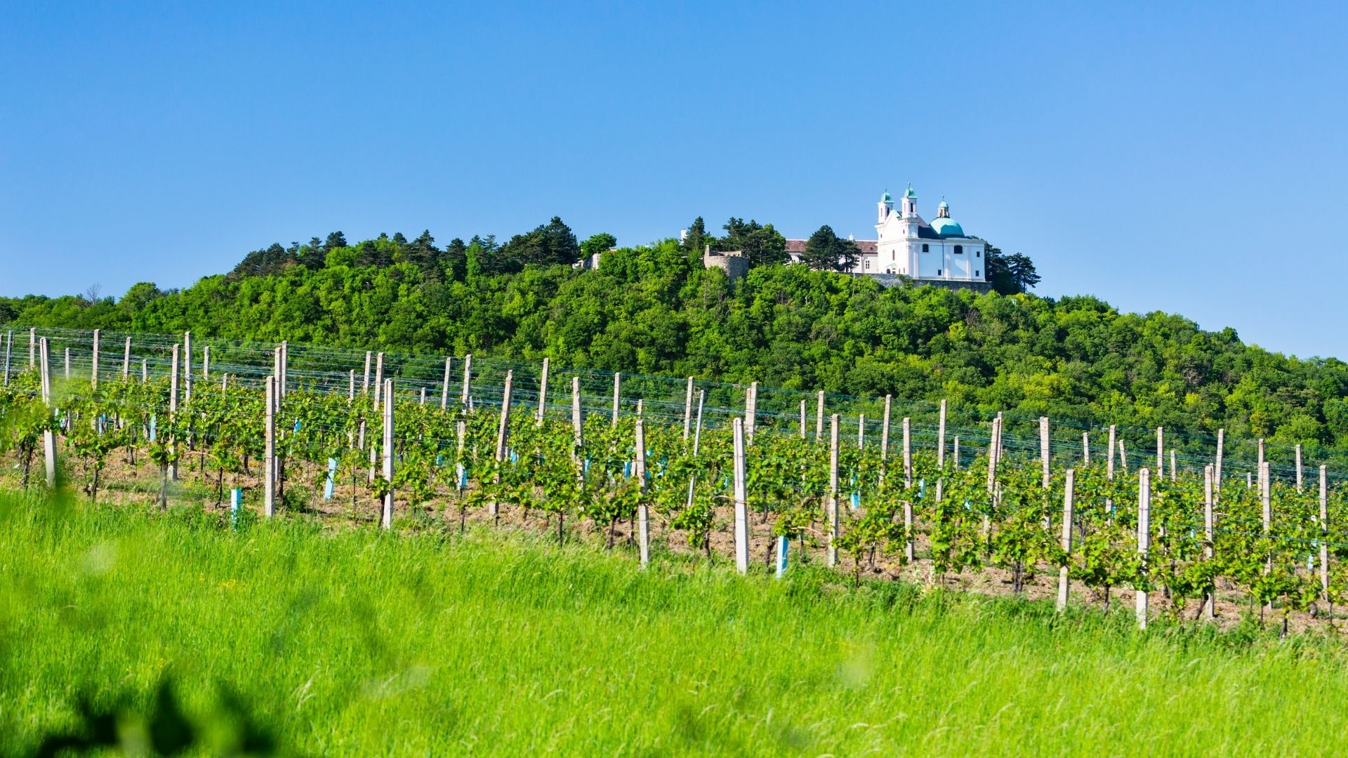 Leopoldsberg