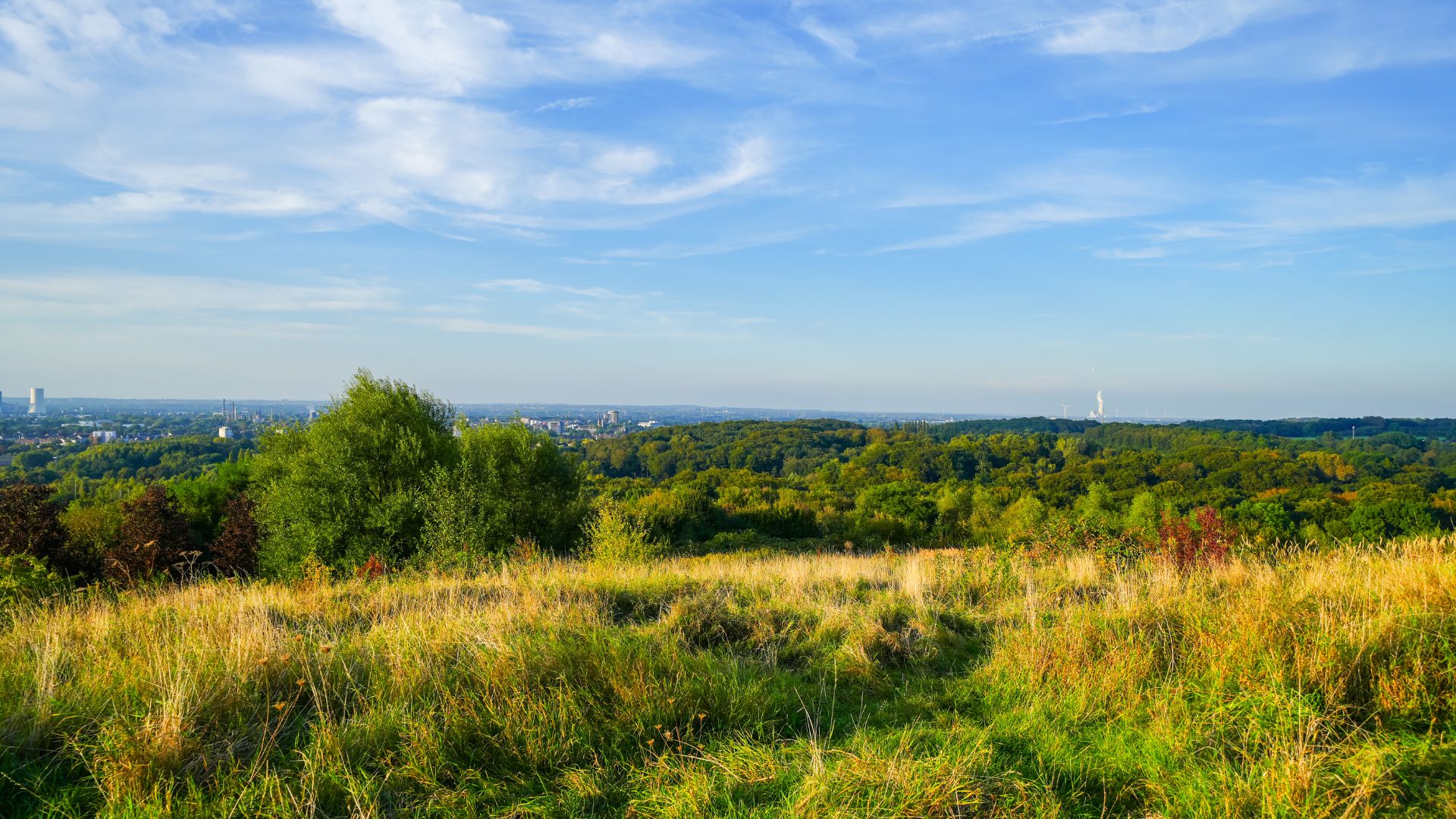 Tippelsberg