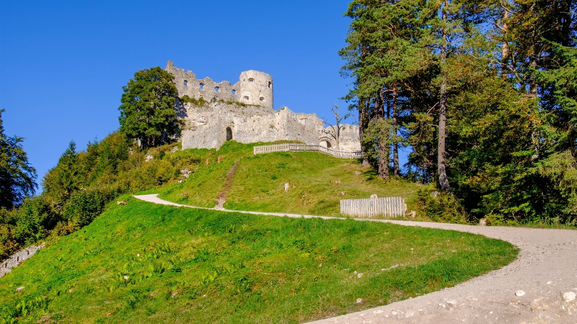 Burgruine Ehrenberg