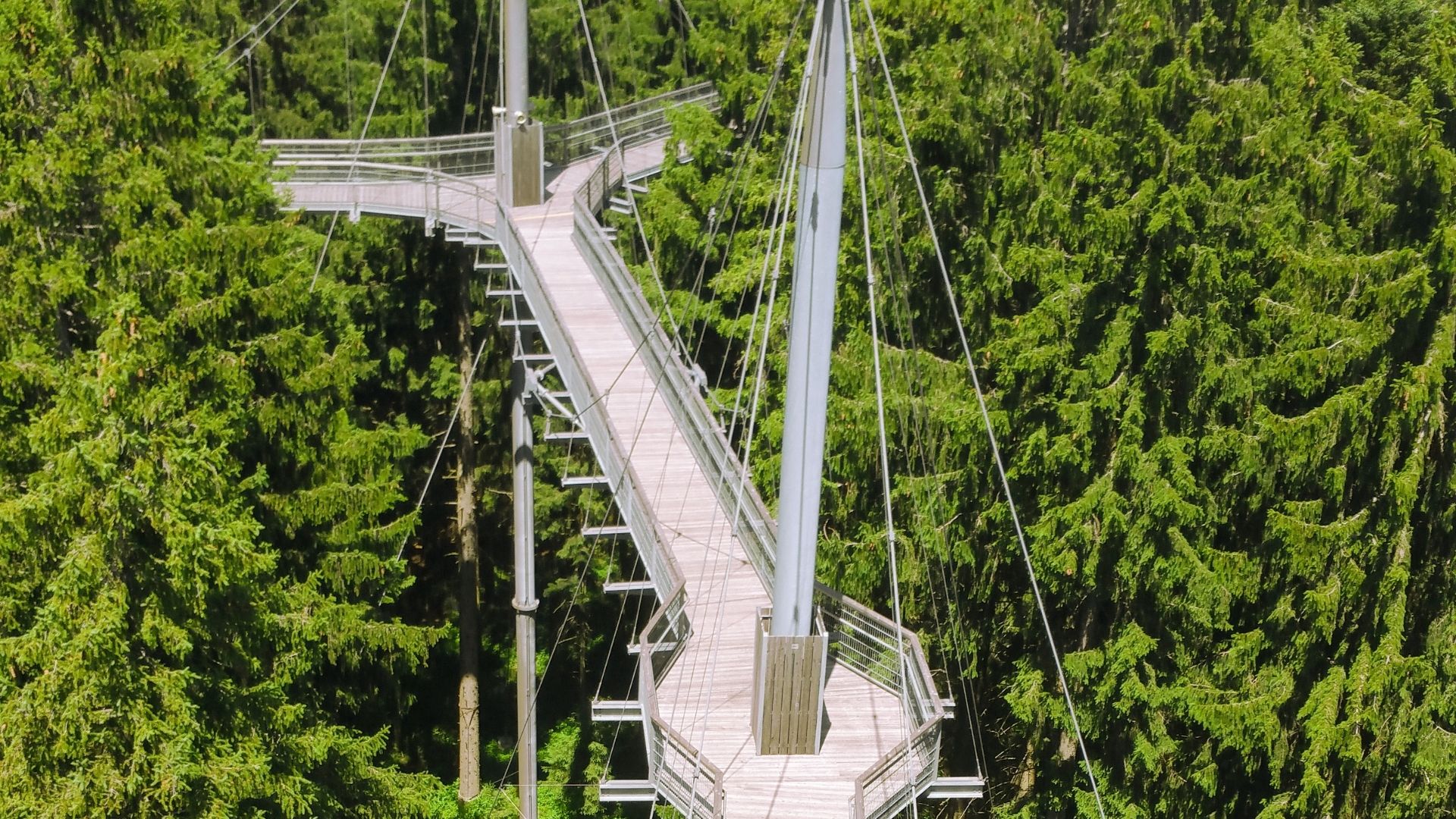 Waldwelt Skywalk Allgäu