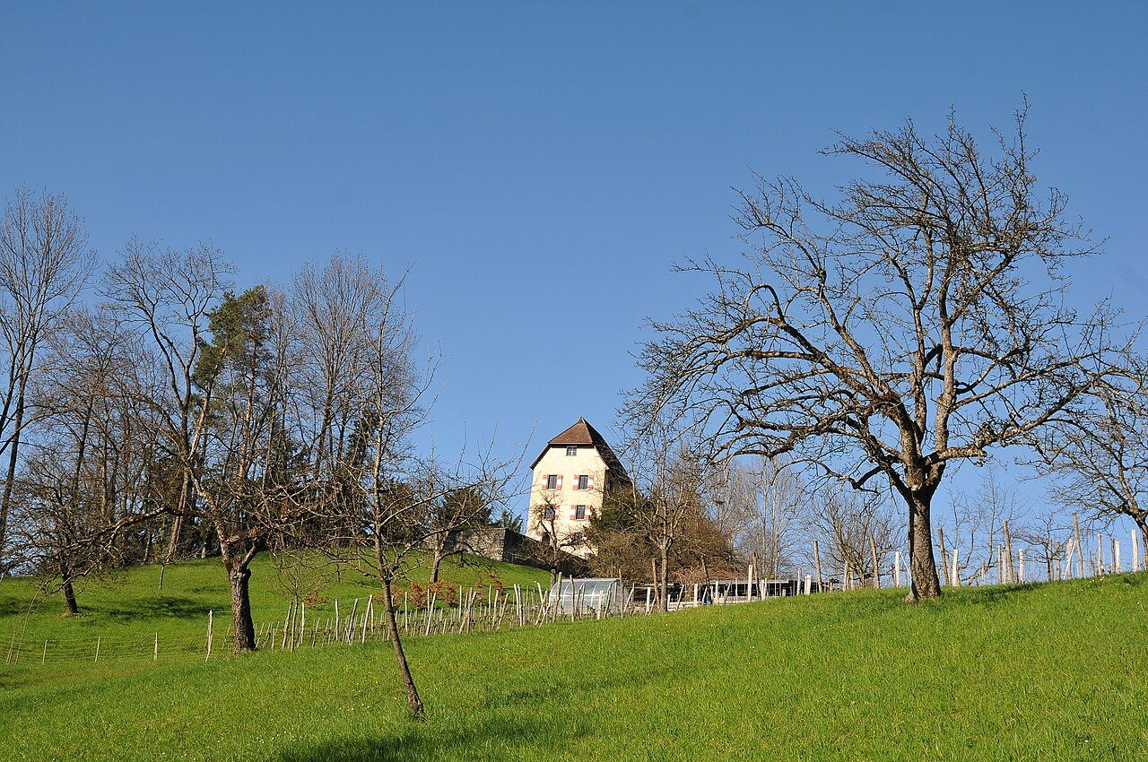 Schloss Amberg