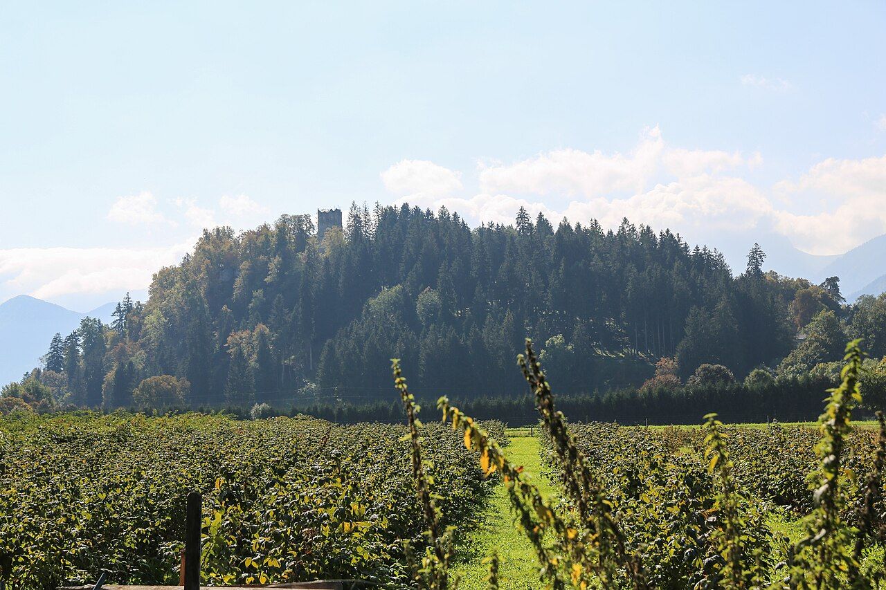 Schloss Rosegg